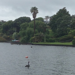 Location - Feldenkrais Training NZ5